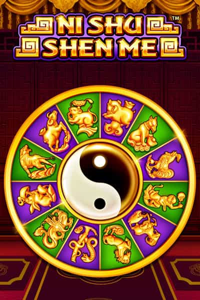 Ni Shu Shen Me